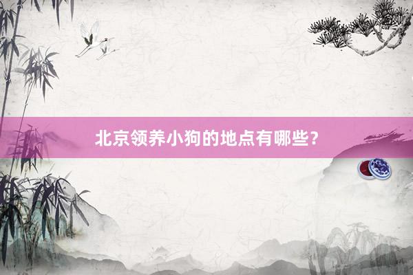 北京领养小狗的地点有哪些？