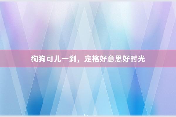 狗狗可儿一刹，定格好意思好时光