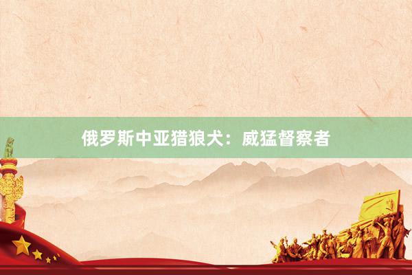 俄罗斯中亚猎狼犬：威猛督察者