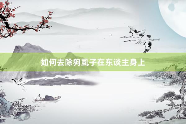 如何去除狗虱子在东谈主身上