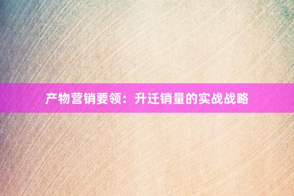 产物营销要领：升迁销量的实战战略